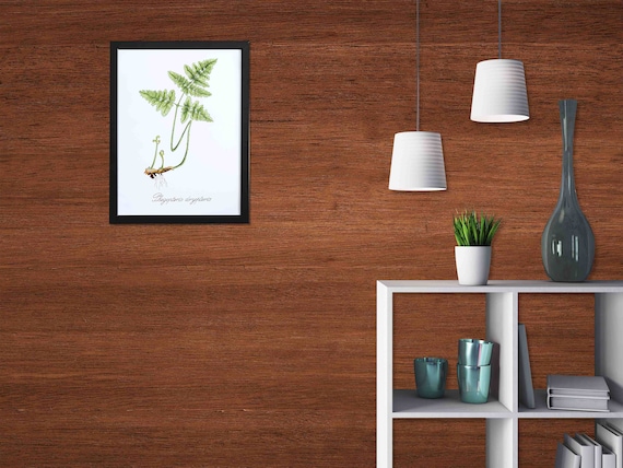 Custom Size Wallpaper - Natural Pattern Wood Texture Wallpaper - Peel and Stick Wall Decal - Self Adhesive or Pre-Pasted