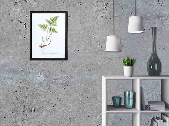 Custom Size Wallpaper - Gray Concrete Texture Wallpaper - Peel and Stick Wall Decal - Self Adhesive or Pre-Pasted - Removable Wallpaper