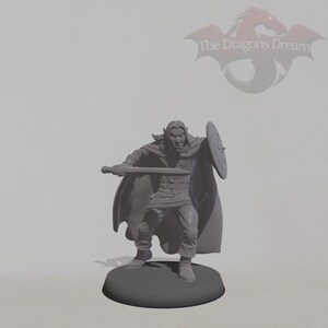 Elven Warrior - Heroquest, Dungeons and Dragons, 5e, Pathfinder - Miniature