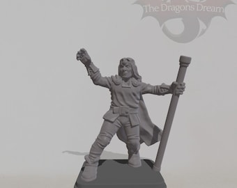 Wizard - Heroquest Inspired, Dungeons and Dragons, 5e, Pathfinder - Miniature