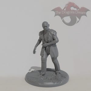 Plague Victim - Dungeons and Dragons, 5e, Pathfinder - Miniature