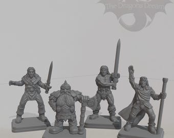 Heroes of Heroquest Characters (female & Male) Miniature Wizard, Elf ...