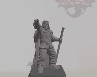 Wizard - Heroquest Inspired, Dungeons and Dragons, 5e, Pathfinder - Miniature