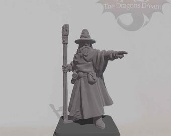 Wizard - Heroquest Inspired, Dungeons and Dragons, 5e, Pathfinder - Miniature