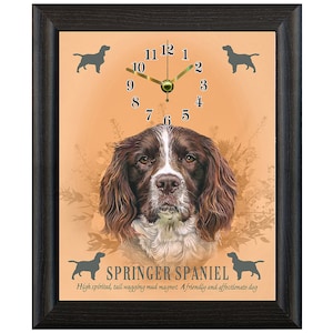 May include: A brown and white Springer Spaniel dog with a black clock face and gold hands. The clock face has the numbers 1 through 12. The clock is framed in black wood. The text below the clock reads "SPRINGER SPANIEL High spirited, tall wagging mud magnet. A friendly and affectionate dog."