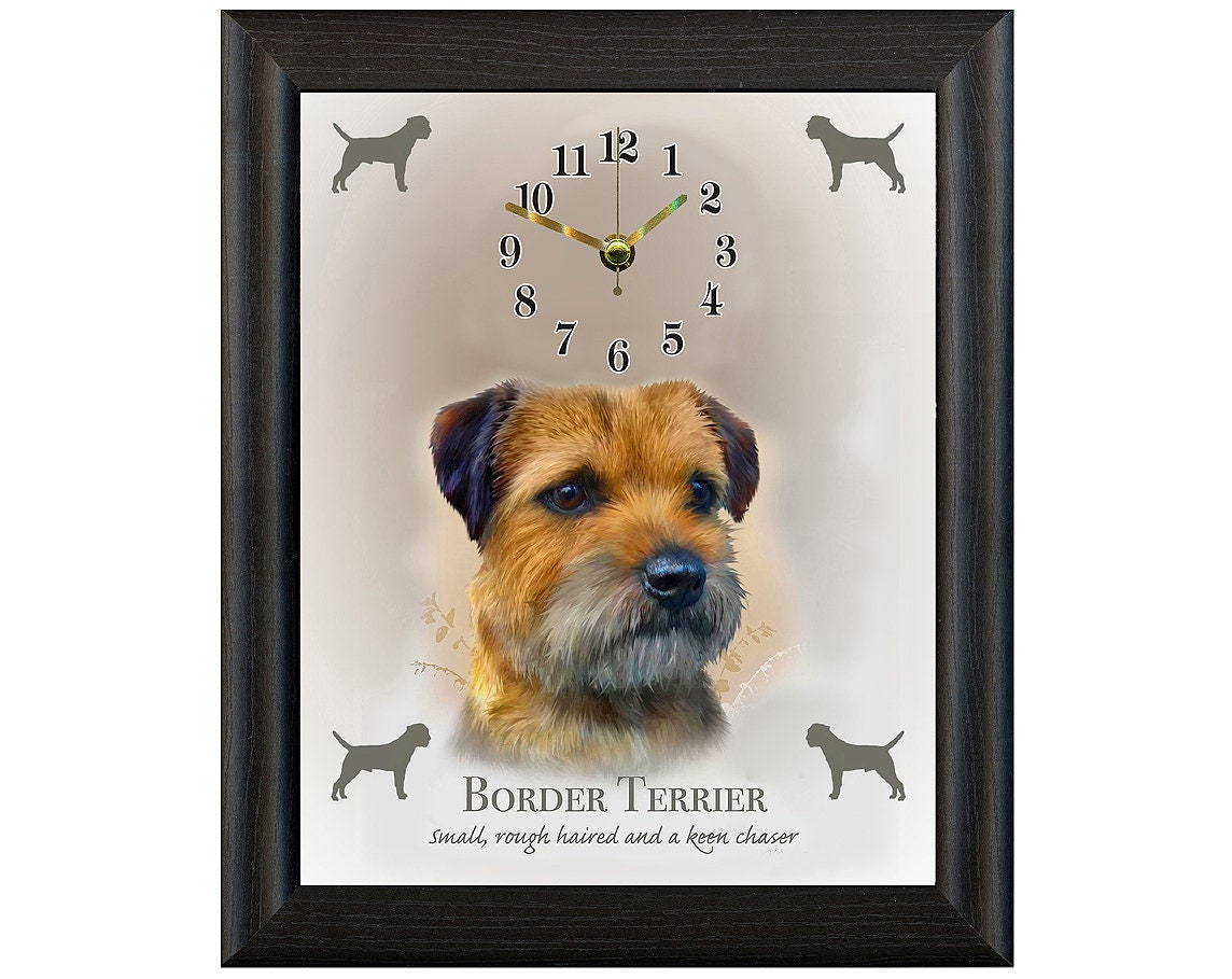 border terrier presents