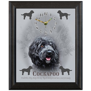 May include: A black and white framed wall clock featuring a black Cockapoo dog illustration. The clock face has black Roman numeral hour markers and gold hands. The text "Cockapoo" and "an adorable, loving, cheeky little dog. They are intelligent and have a sweet personality" is printed below the dog.