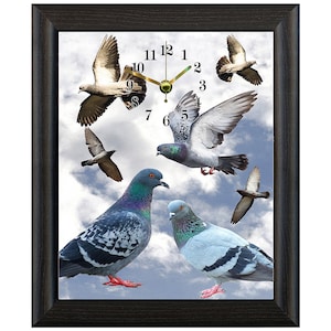 Pigeon clock a great gift for christmas birthdays home dad grandad Racing pigeon clock wall or freestanding