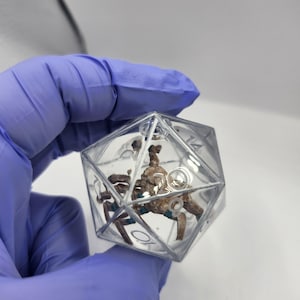May include: A clear, twenty-sided polyhedral die featuring a brown, textured, spider-like creature encased within the transparent resin. The die has sharp edges and black numerical markings, including the numbers 10, 14, and 20 visible on the faces.