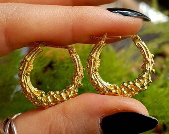 May include: A pair of gold-colored hoop earrings with a textured, beaded design. The earrings are held up against a backdrop of green foliage, showcasing their intricate details and warm metallic hue. The earrings are a classic jewelry item.