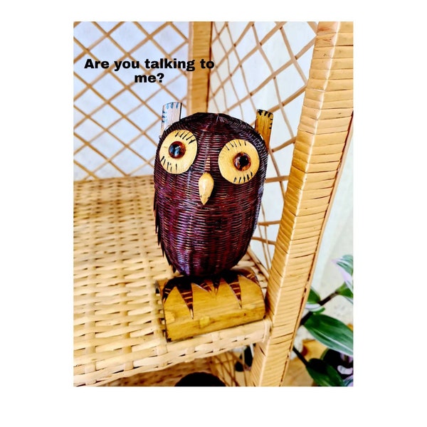 Small Rattan Kautz Owl Basket Tin