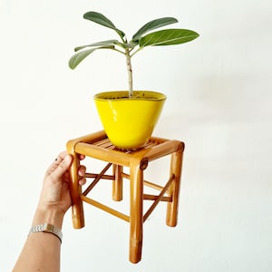 Bambus blumenhocker boho - Etsy.de