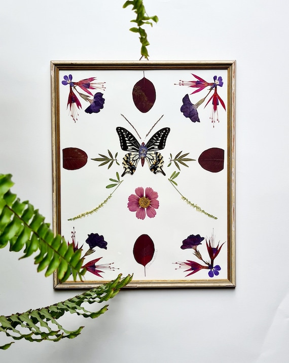 Schmetterlings Herbarium Vintage Bild handgemacht