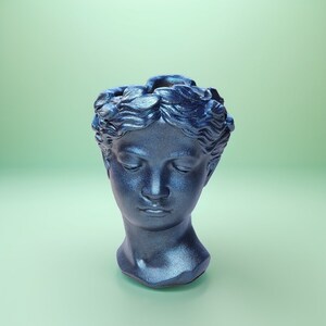 May include: A blue ceramic planter shaped like a woman's head with a crown of leaves.
