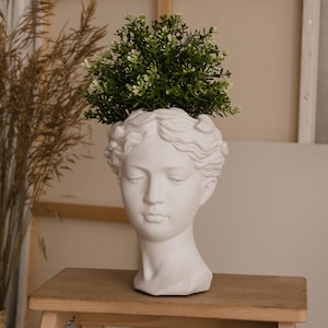 Puede incluir: Maceta de cerámica blanca con forma de cabeza de mujer con una planta verde que crece en la parte superior.