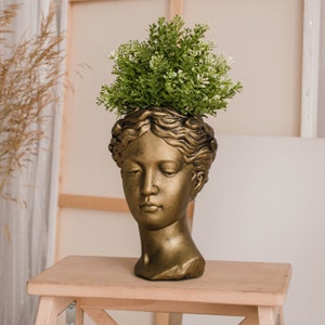 Peut inclure: Un pot de fleurs en forme de buste doré avec un visage sculpté et des cheveux ondulés. Une petite plante verte avec des fleurs blanches est plantée dans le buste.