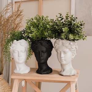 Peut inclure: Trois bustes de femmes en céramique blanche et noire avec des plantes vertes feuillues. Les bustes sont de femmes aux traits classiques et sont disposés sur une étagère en bois.