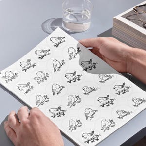 A high-angle photograph showing a person's hands holding a large white sheet on a smooth, grey desk surface. The sheet, referenced as image, contains several rows of large circular templates, each displaying a detailed black line-art illustration of a bird perched on a branch. In the upper portion of the background, a clear glass of water, a stack of books, and a pair of eyeglasses are arranged under clean, bright lighting that casts soft shadows across the setup.