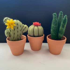 Handcrafted Merino Wool Felting Needle Cactus, Fake Cactus,Succulent