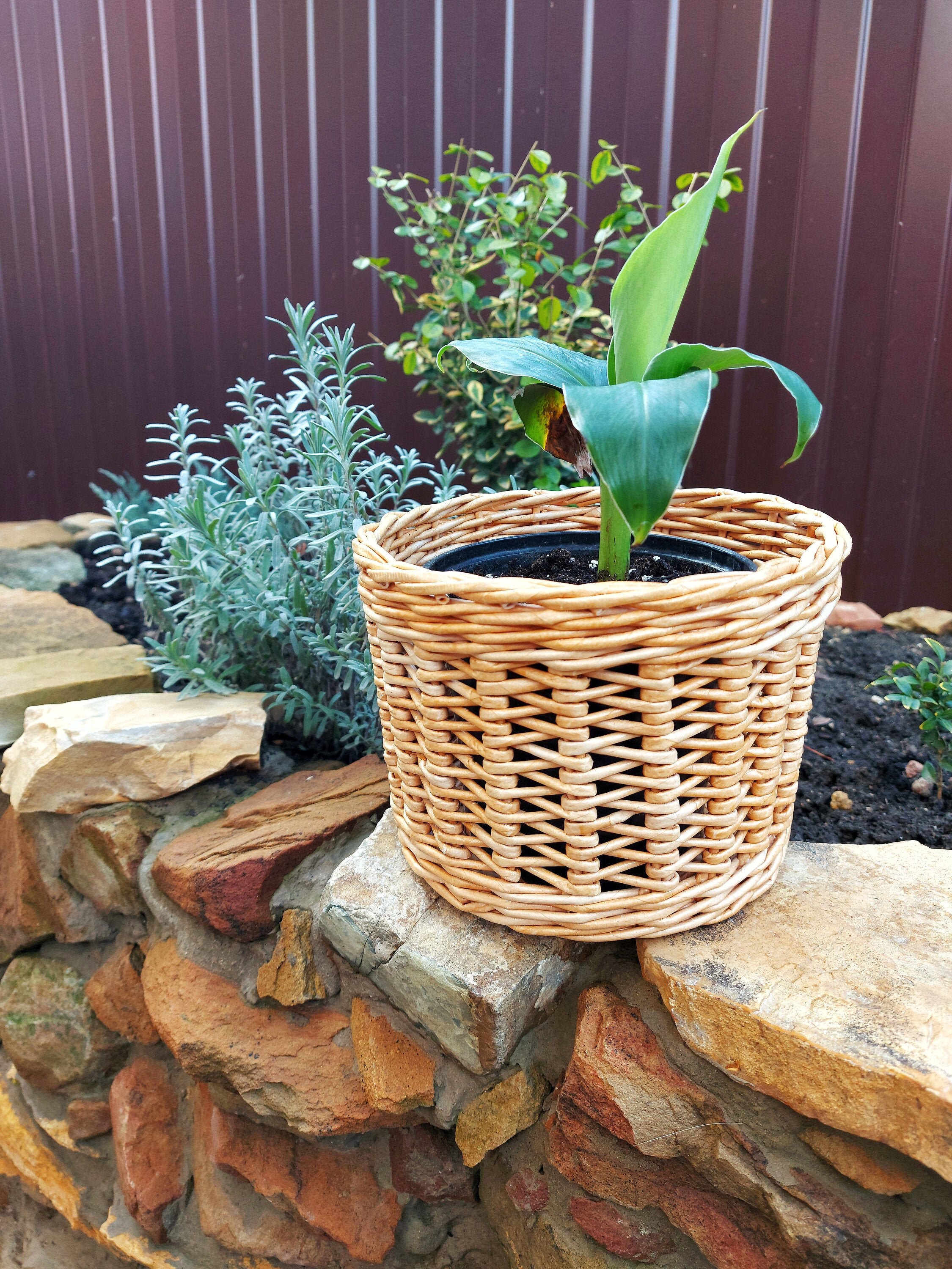 Wicker planter basket Round flower wicken pot Planters holder Etsy