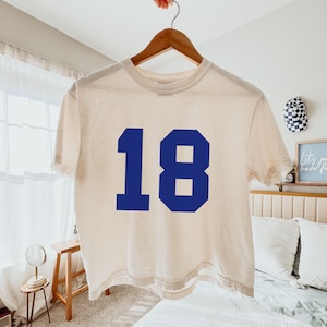 May include: A cream-colored, short-sleeved t-shirt with the number 18 in bold, blue block letters. The shirt is hanging on a wooden hanger. The background includes a bed, a small table, and a decorative wall hanging.