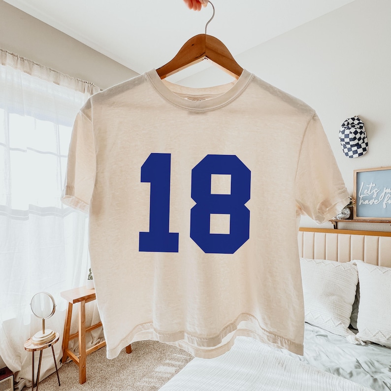 May include: A cream-colored, short-sleeved t-shirt with the number 18 in bold, blue block letters. The shirt is hanging on a wooden hanger. The background includes a bed, a small table, and a decorative wall hanging.