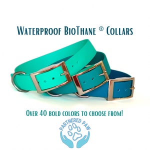 1 Inch Wide Waterproof Dog Collar | Biothane dog collar | Solid color dog collar |