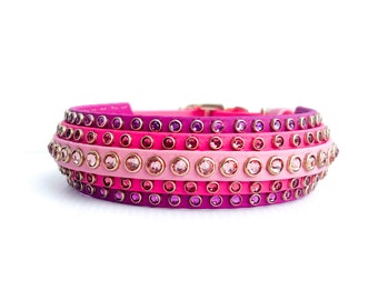May include: A pink, purple, and gold dog collar with rows of rhinestones.