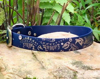 May include: A navy blue dog collar with a gold dinosaur skeleton design and rhinestones. The collar is made of durable rubber and has a silver buckle.
