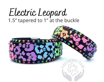 May include: A black leather dog collar with a rainbow leopard print and rhinestones. The collar is 1.5" tapered to 1" at the buckle. The collar is labeled "PARTNERED PAW".