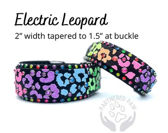 May include: Two black dog collars with a leopard print design in neon colors. The collars are 2 inches wide, tapering to 1.5 inches at the buckle, and are adorned with colorful studs. The text "Electric Leopard" is displayed above the collars.
