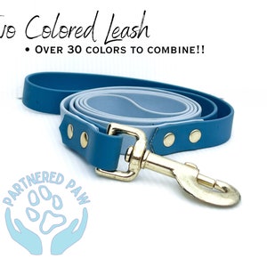 Waterproof Leash for Dogs, Colorful Dog Leash, Waterproof Two Colored Biothane Leash/Lead, Dog Mom Gift, Dog Lover Gift