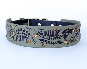 May include: A green dog collar with a black dinosaur skeleton design and gold rhinestones.