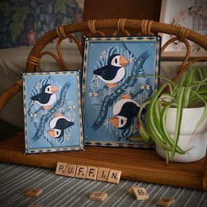 Puffin