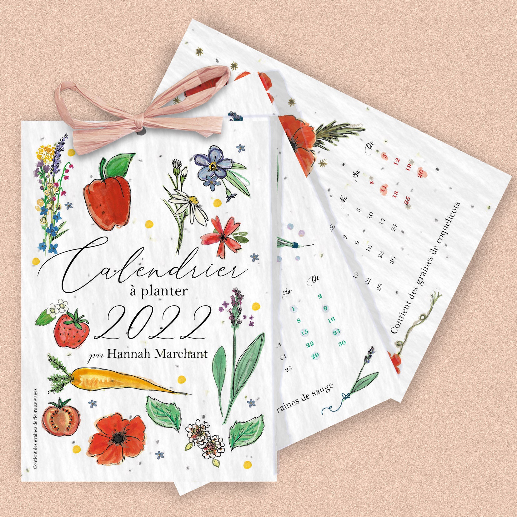 Plonk Et Replonk Calendrier 2023 Calendar To Plant | Etsy Israel