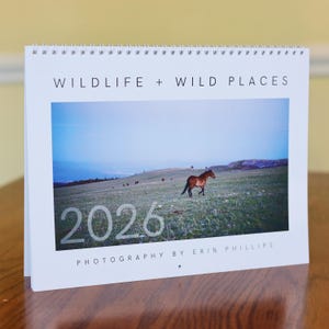 Calendario fotografico di fauna selvatica e paesaggi in edizione limitata 2026: decorazioni artistiche per la casa