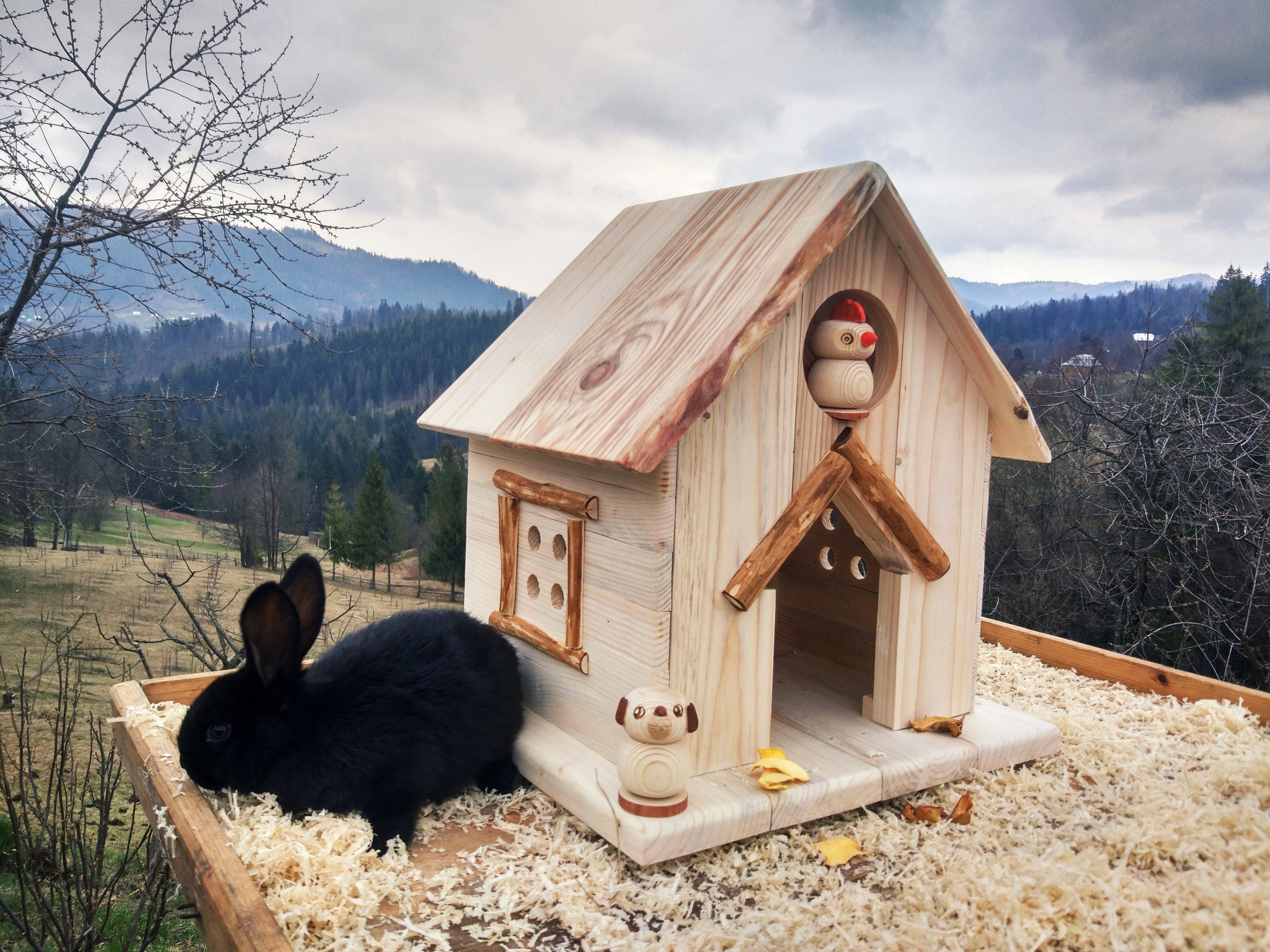 House for chinchilla. House for rodents rabbits hamsters Etsy