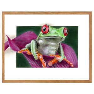 Frog Painting Animal Art Print From My Original Oil Painting Funny Frog Wall Decor Animal Large Art Print Frog Wall Art Kids