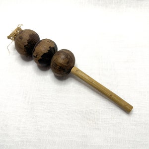 May include: A wooden stick with three brown, round, seed pods attached. The stick is about 25 cm long.