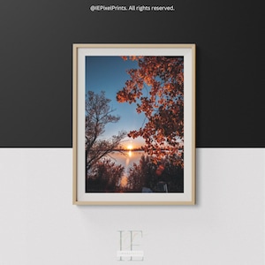 Peut inclure: Impression encadrée d'un paysage avec un coucher de soleil sur un lac. L'image présente un ciel vibrant avec un soleil couchant, des arbres en silhouette et un feuillage orangé. L'œuvre est présentée dans un cadre en bois clair.