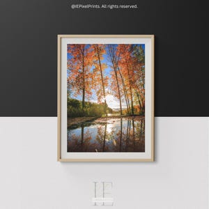 Peut inclure: Impression encadrée d'un paysage automnal. De grands arbres aux feuilles orange et rouges se reflètent dans l'eau calme. Le ciel est bleu et le soleil brille à travers les arbres. Le cadre est de couleur beige clair.