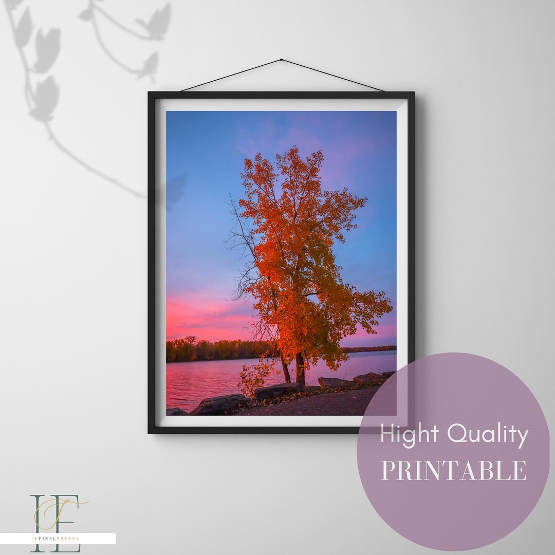 Montreal in Autumn Wall Art, Fall Colors, River Fall Print, Autumn