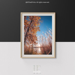 Peut inclure: Tirage d'art encadré représentant un paysage avec un arbre aux feuilles dorées et de hautes herbes contre un ciel bleu clair. L'œuvre capture une scène extérieure sereine avec un plan d'eau reflétant la lumière du soleil. Le cadre est de couleur bois clair.