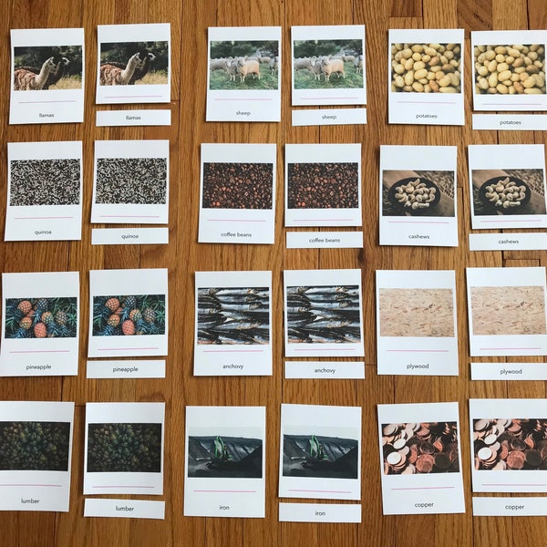 South America Three-Part Commodity Cards