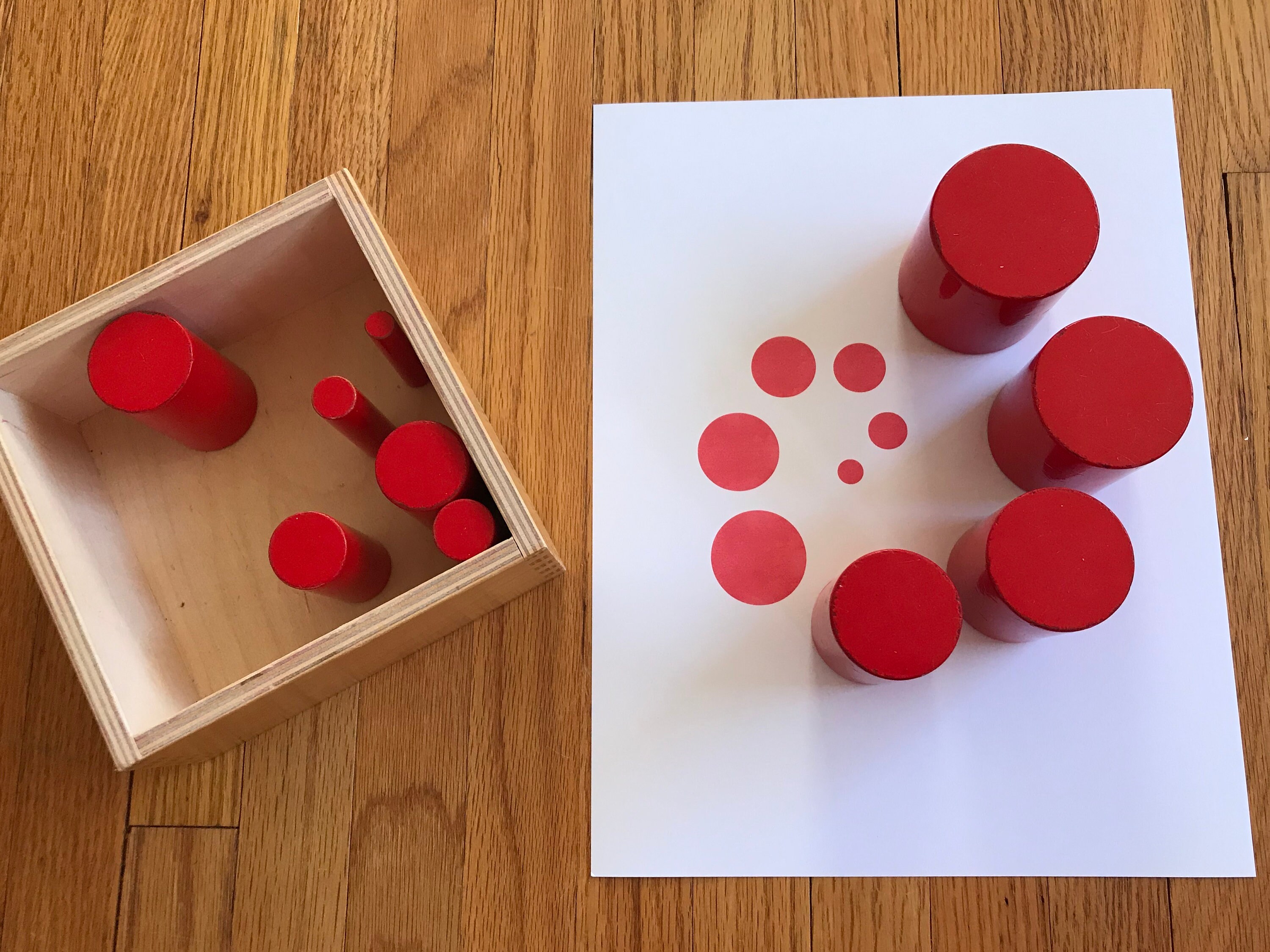 Montessori Knobless Cylinder Extension - Beginner - Etsy