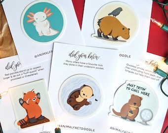 Animal Sticker Set/Pack / Axolotl, Otter, Capybara, Quokka, Red Panda, Hedgehog, Ferret / Teen, Zoologist, Zookeeper Gift, Yeti Sticker Men