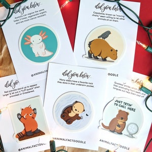 Tier Sticker Set/Pack / Axolotl, Otter, Capybara, Quokka, Roter Panda, Igel, Frettchen / Teen, Zoologe, Zookeeper Geschenk, Yeti Sticker Männer