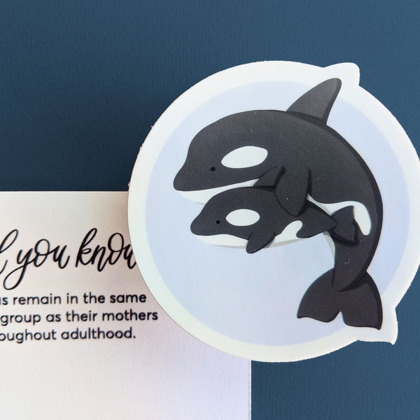 Orca Killer Whale Sticker / Ornament / Cheap Mothers Day Gift, Nautical Baby Shower Favor Under 5 10; Marine Biologist, Science Teacher Gift