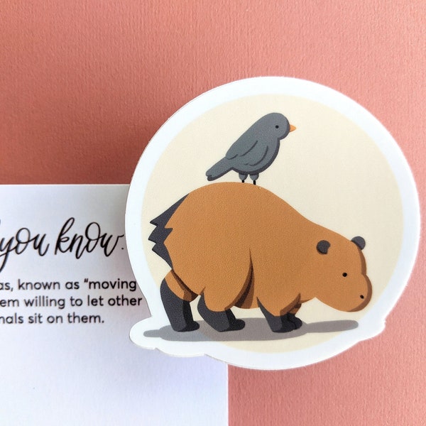 Capybara Sticker or Ornament (Request) // Veterinarian, Vet Tech, Student, Employee, Teens Gift 5; Car, Planner or Bullet Journal Accessory