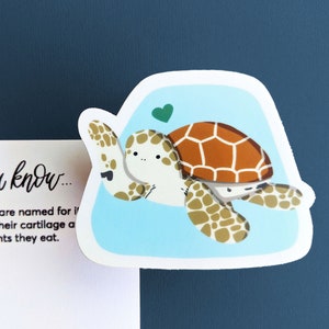 Sea Turtle Sticker or Ornament / Hawaii Zoo Nursery Decor Hydro Flask / Waterbottle, Nautical Baby Shower Birthday Favor, Bridesmaid Gift 5